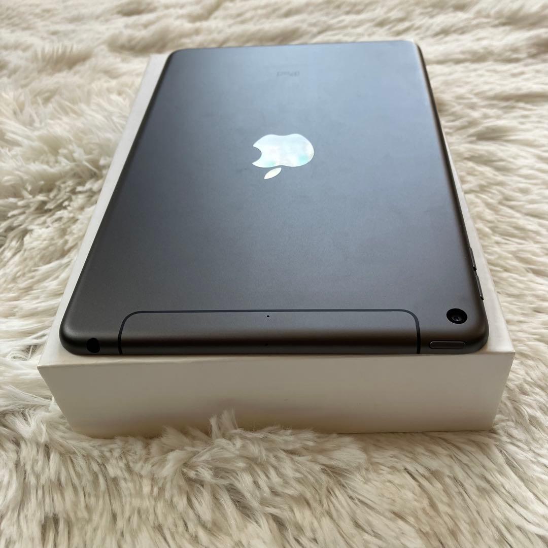 【ラスト1台】iPad mini5 256GB SIMフリー【すぐ発送】