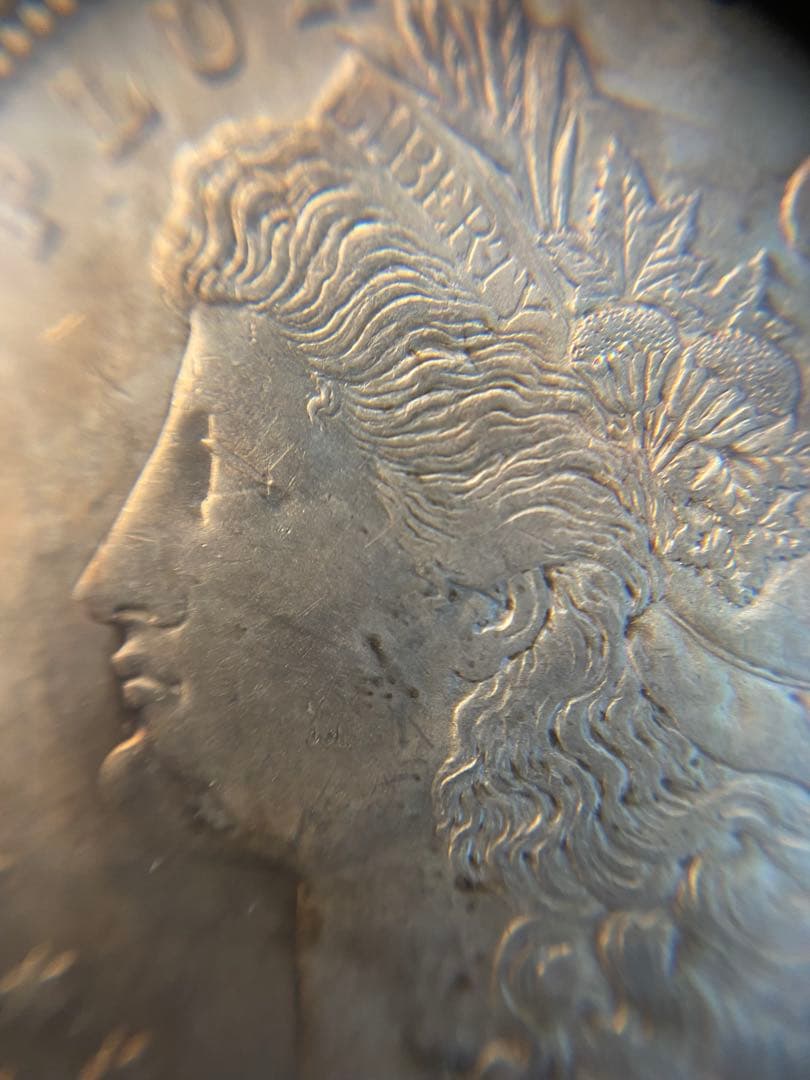 PCGS NCG アンティーク　銀貨　モルガンダラー　ピースダラー