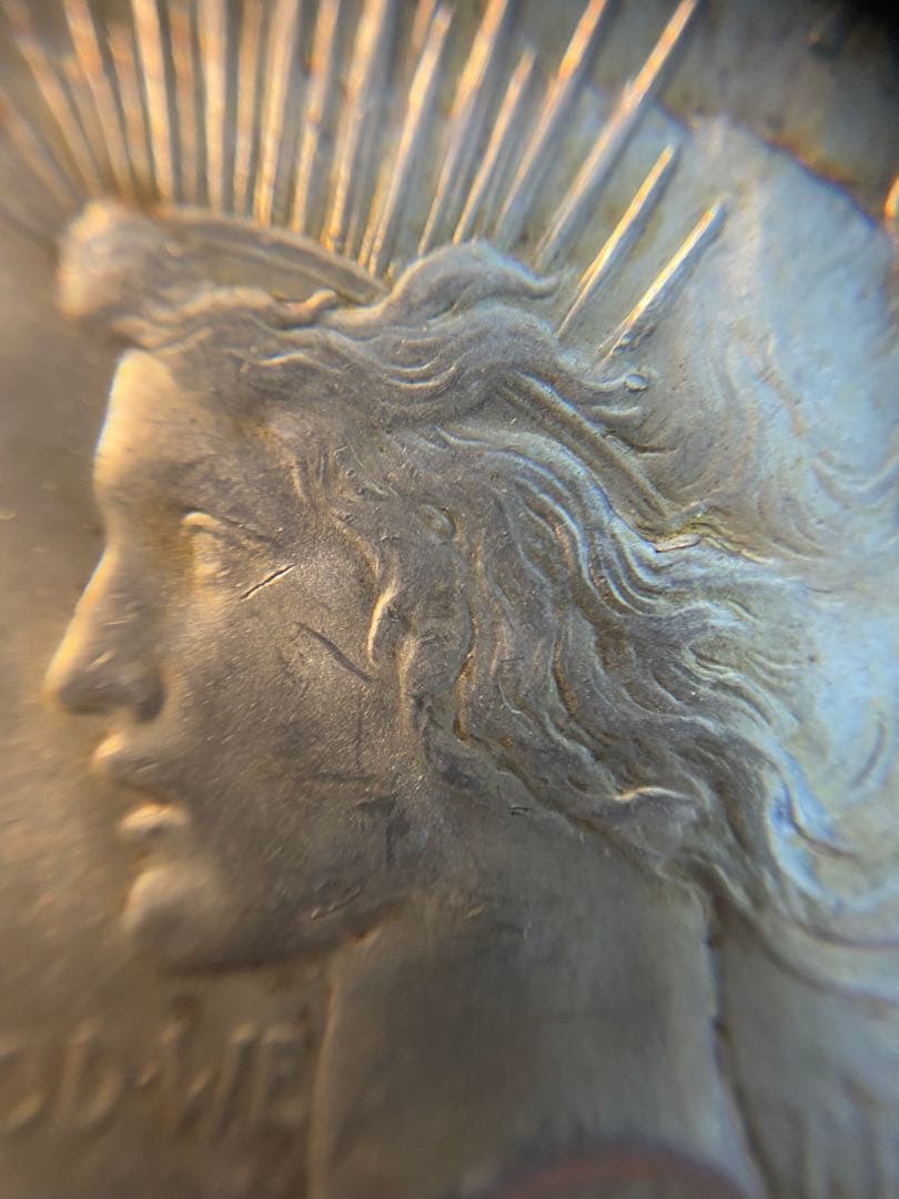 PCGS NCG アンティーク　銀貨　モルガンダラー　ピースダラー