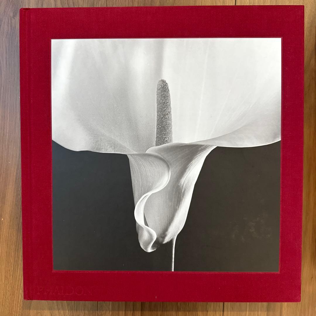 アート・デザイン・音楽 FLORA Mapplethorpe