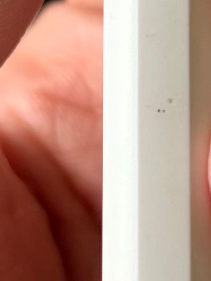 iPad本体 iPad mini 6 (64GB Wi-Fi) Apple Pencil 2