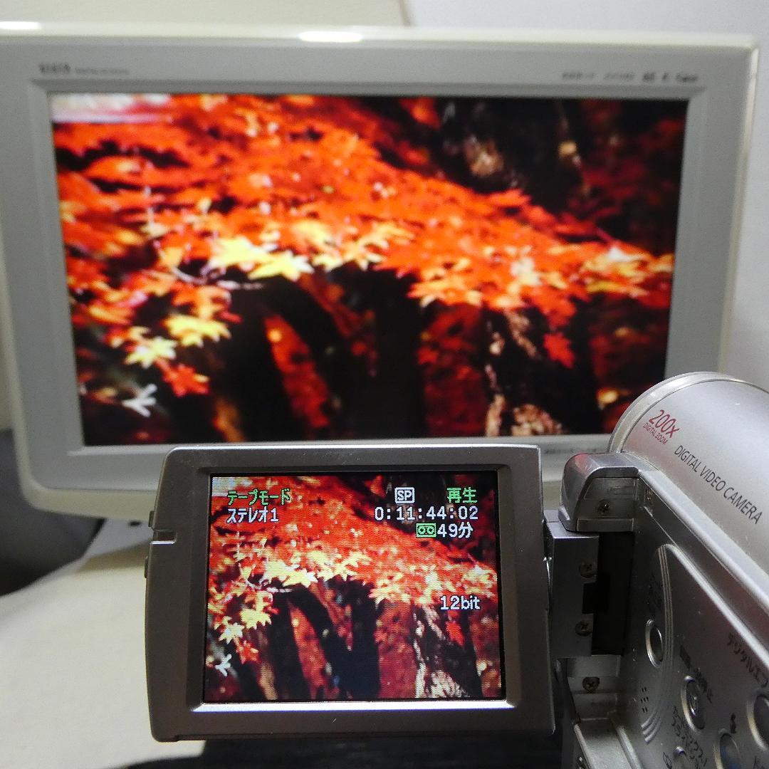 キャノン　IXY DV M3 【動作良好】 MiniDVビデオ ダビングに最適‼