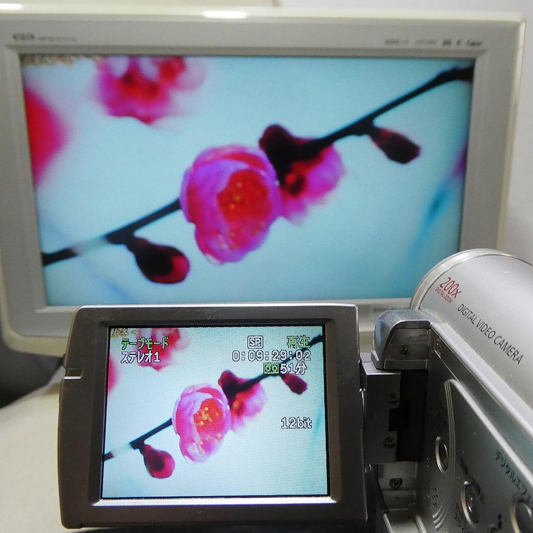 キャノン　IXY DV M3 【動作良好】 MiniDVビデオ ダビングに最適‼