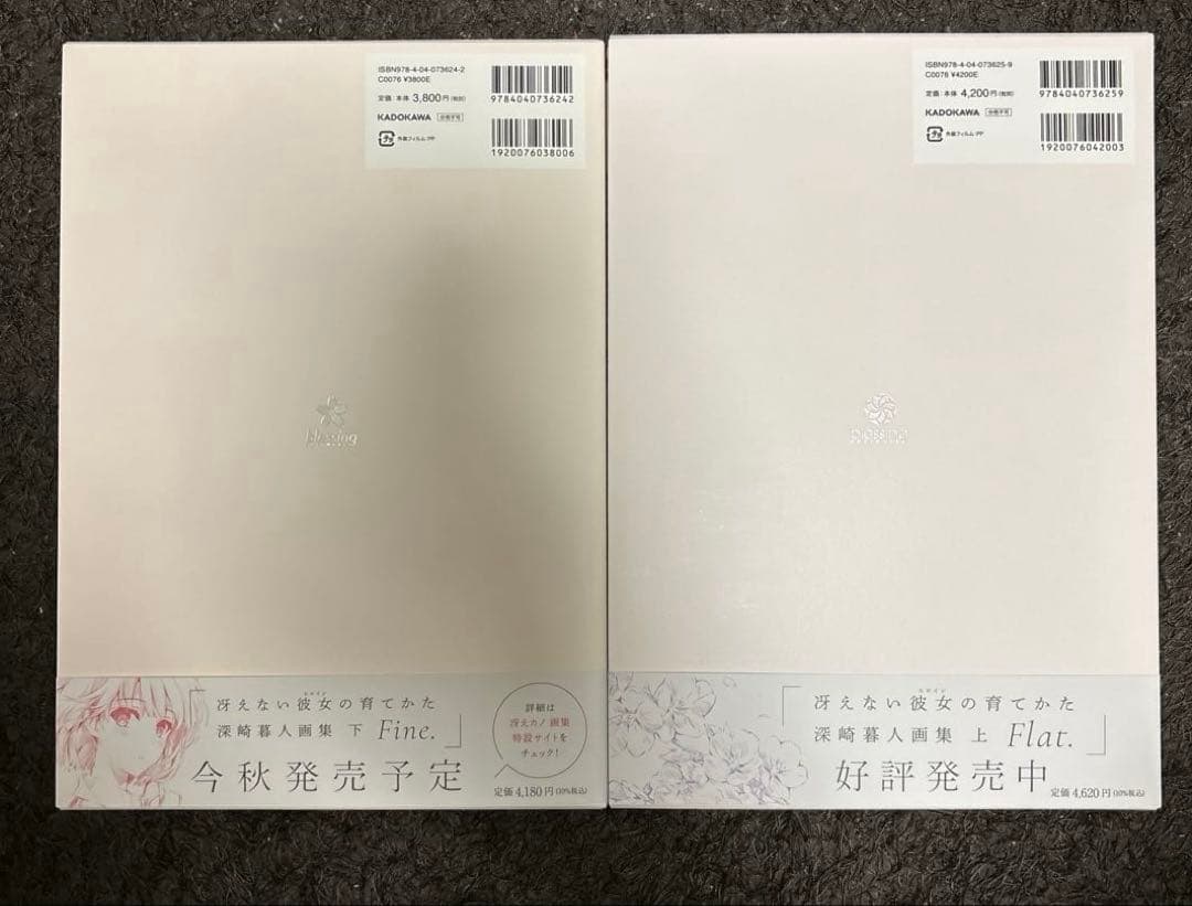 冴えない彼女(ヒロイン)の育てかた 深崎暮人画集 上、下