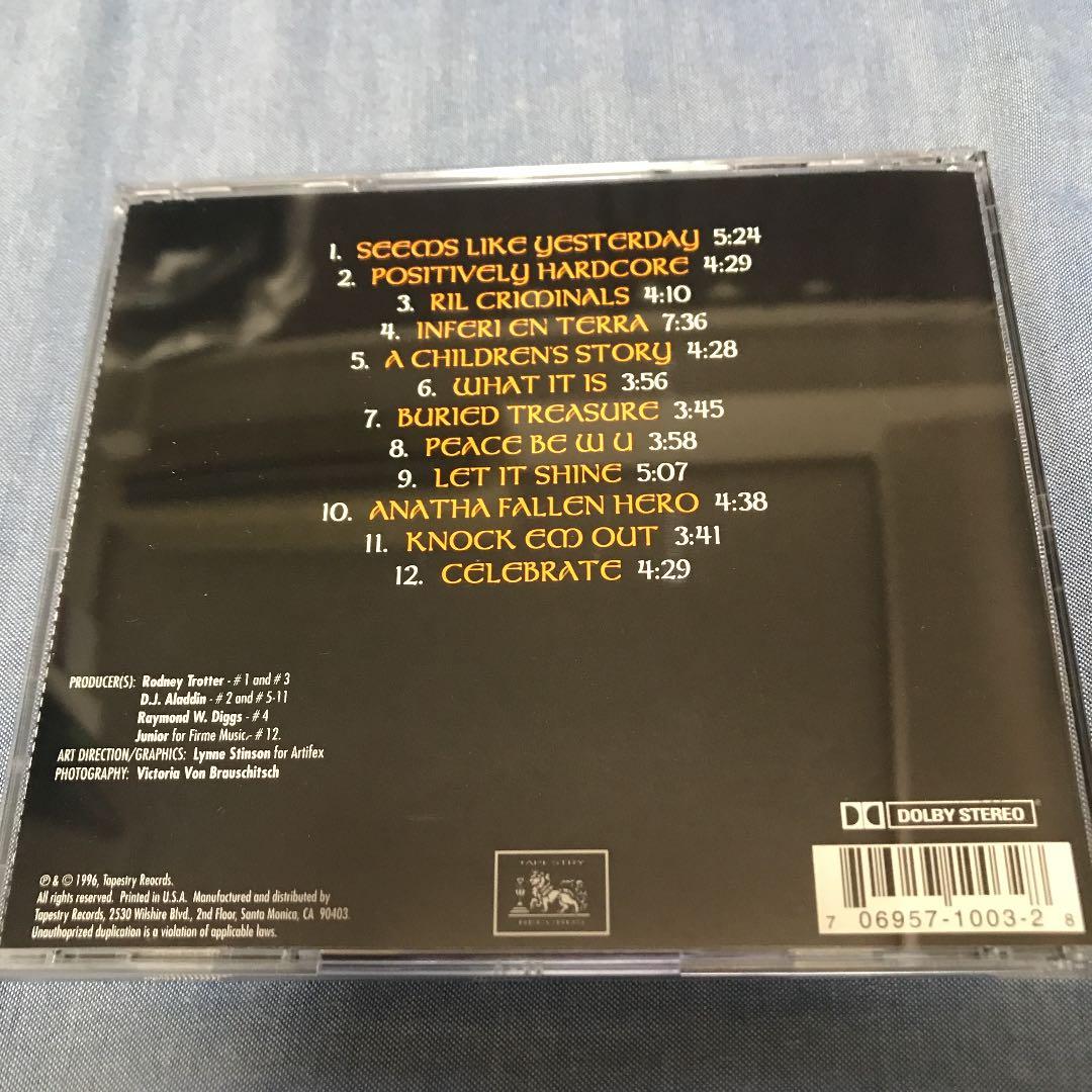 POSITIVELY HARDCORE 美品