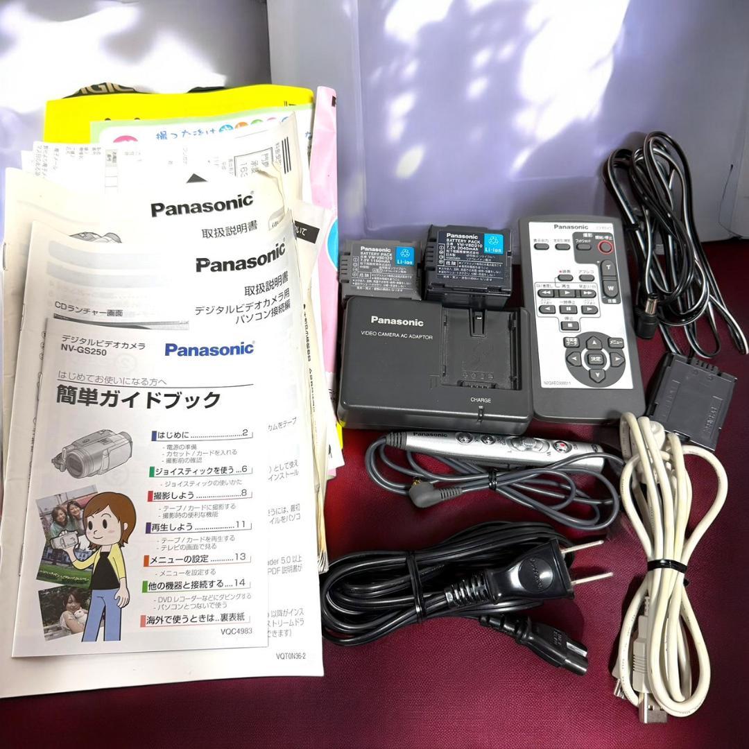 ☆予備バッテリー付 パナソニック NV-GS250 S デジタルビデオカメラ