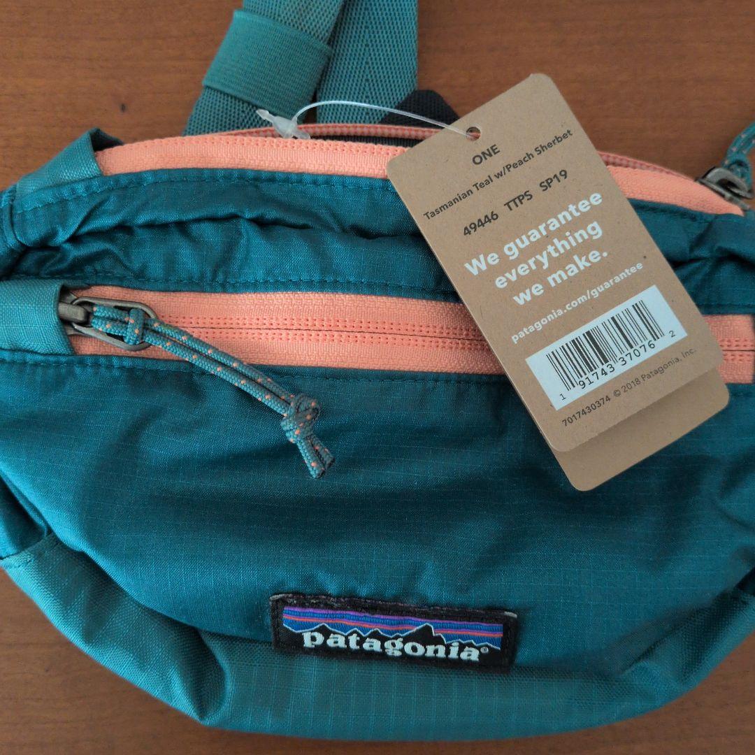 バッグ patagonia LW Travel Mini Hip Pack TTPS