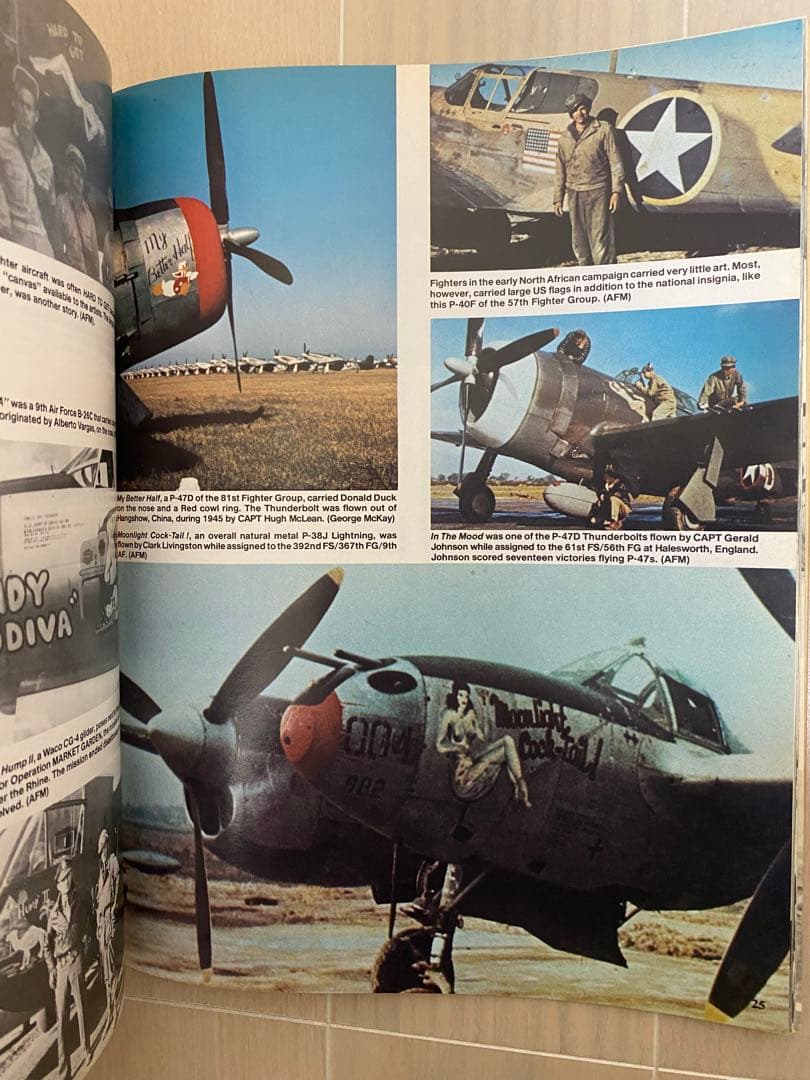 ノーズアート バーガス 戦闘機 ピンナップ ガール バーガスガール 爆撃機
