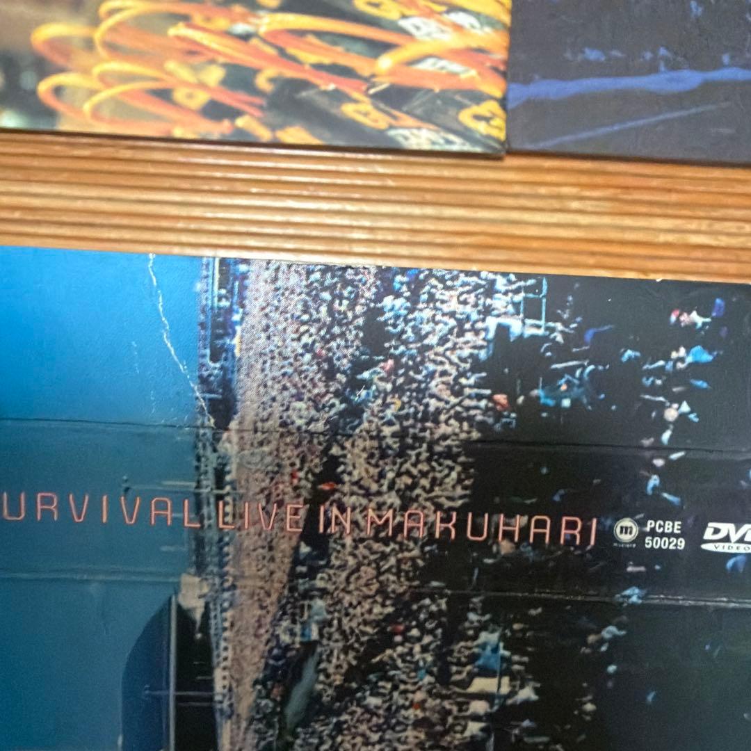 【nozo】GLAY EXPO '99 SURVIVAL DVD