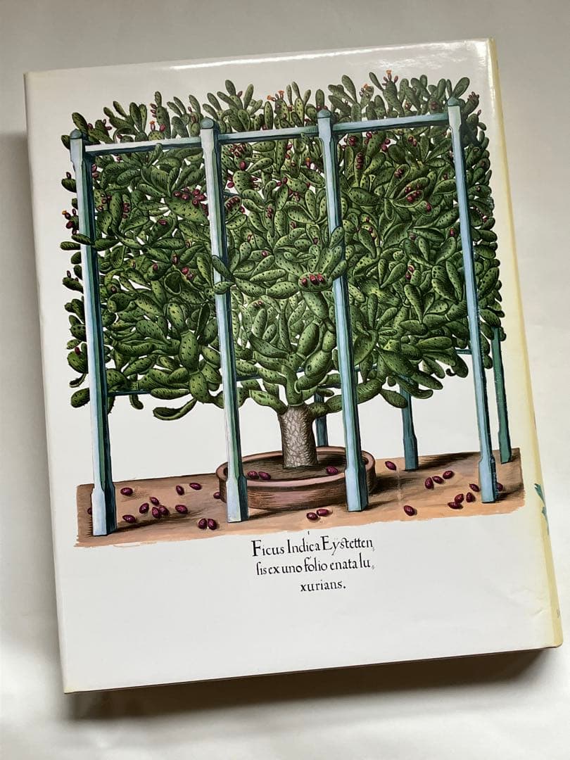 アイヒシュテットの庭園　植物画集DER GARTEN von Eichstätt