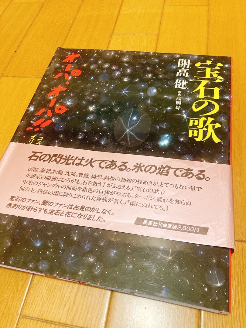 開高健　オーパ、オーパ！！　本　BOOK 5冊まとめ売り