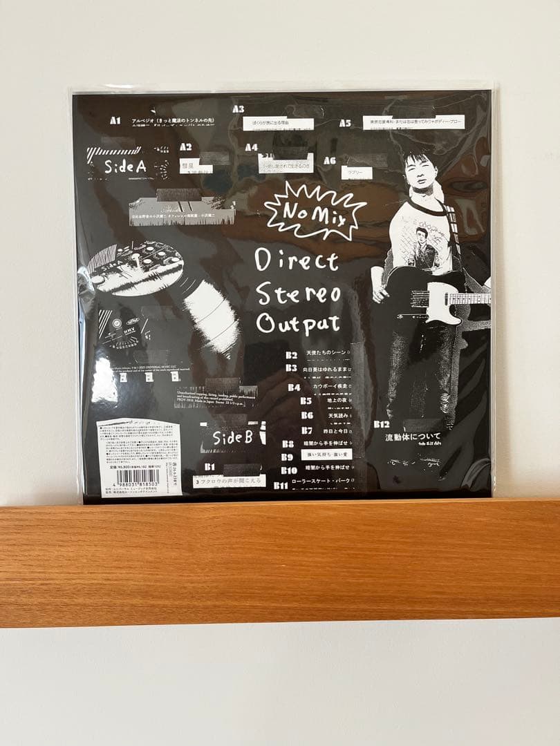 小沢健二 日比谷野音の小沢健二 オフィシャル海賊盤 ライブ音源 アナログLP