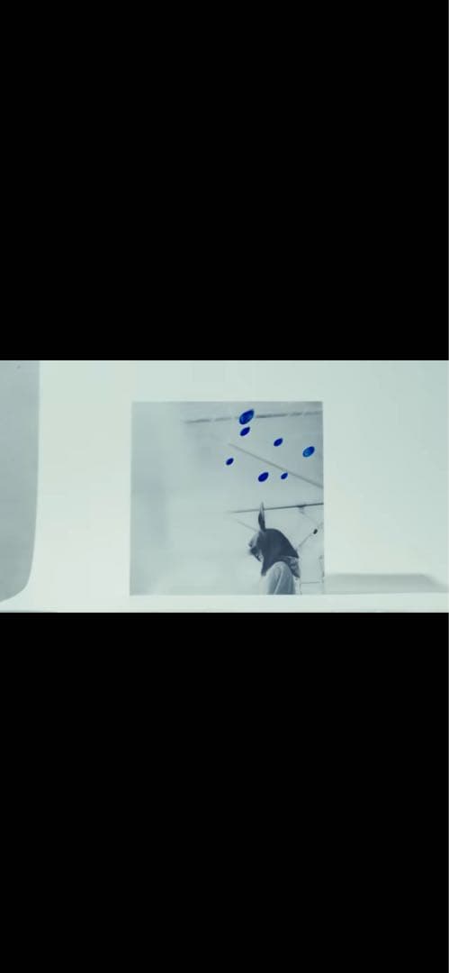小沢健二 日比谷野音の小沢健二 オフィシャル海賊盤 ライブ音源 アナログLP