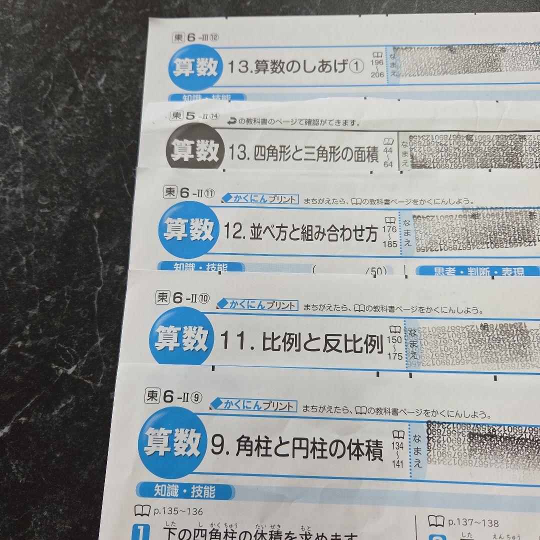 6年生カラーテスト算数　　　　　東京書籍　明治図書