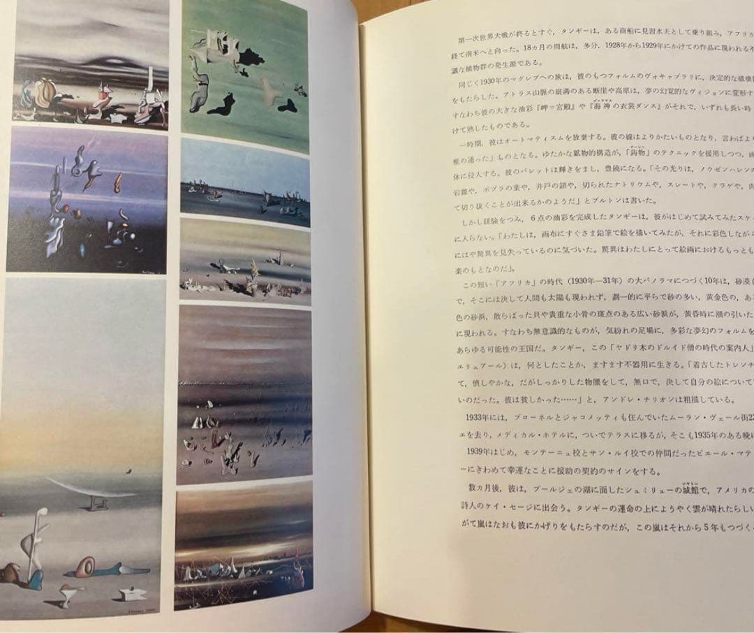 シュルレアリスムと画家叢書「骰子の7の目」〈第9巻〉イヴ・タンギー