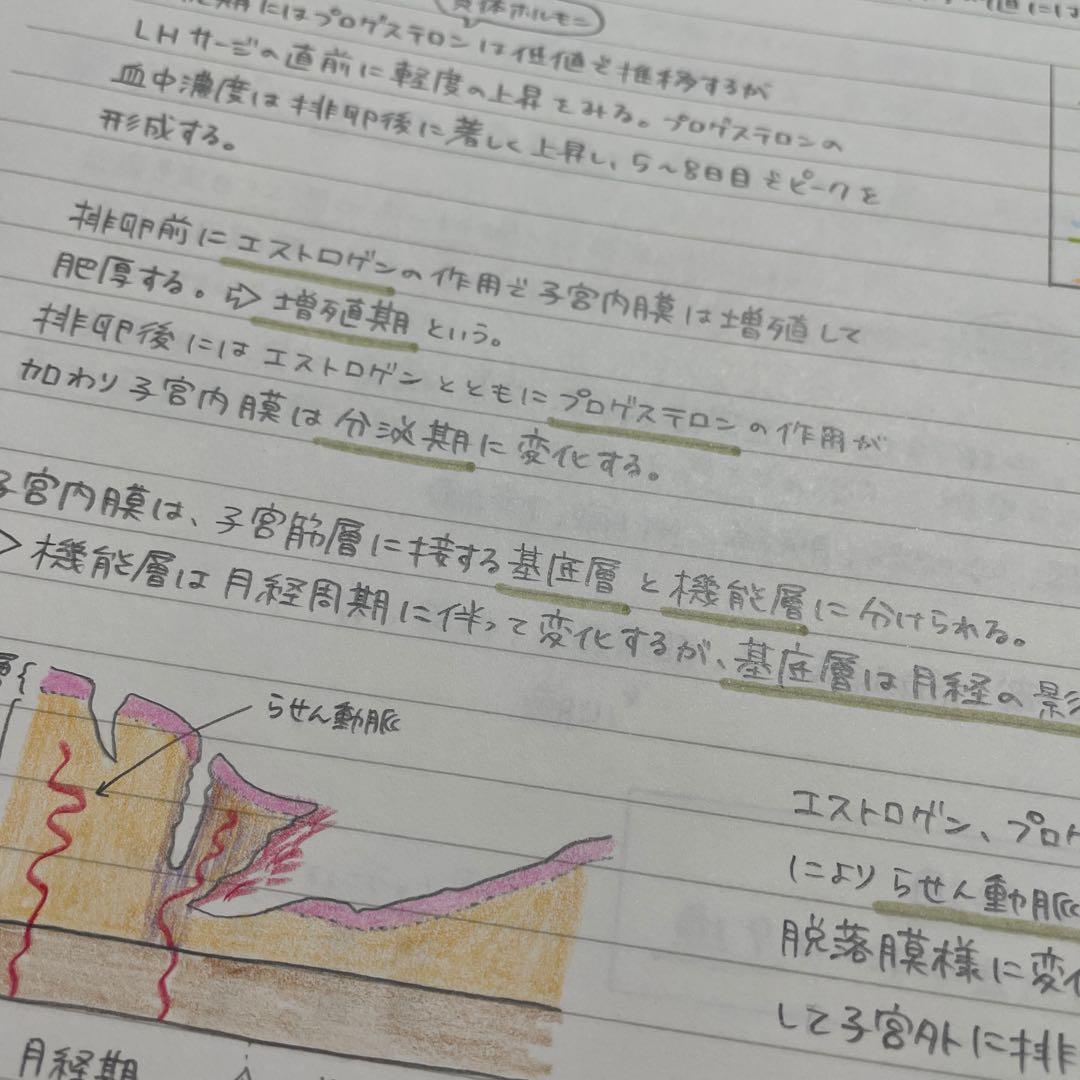 助産師学校セット　まとめノート