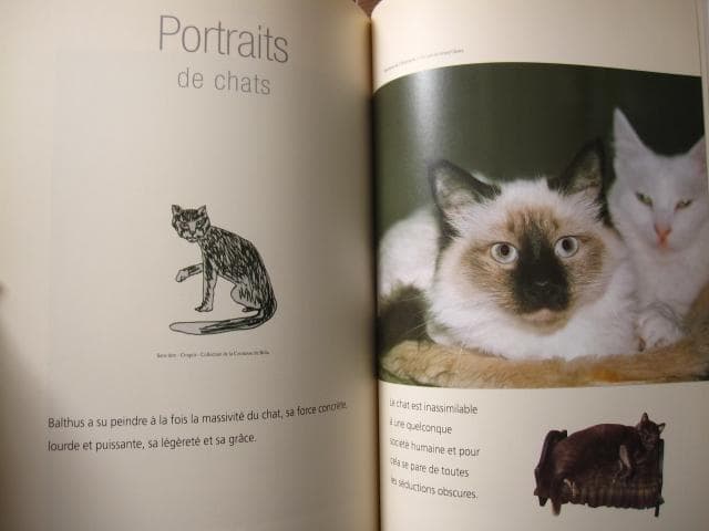アート・デザイン・音楽 Alain Vircondelet Les chats de Balthus