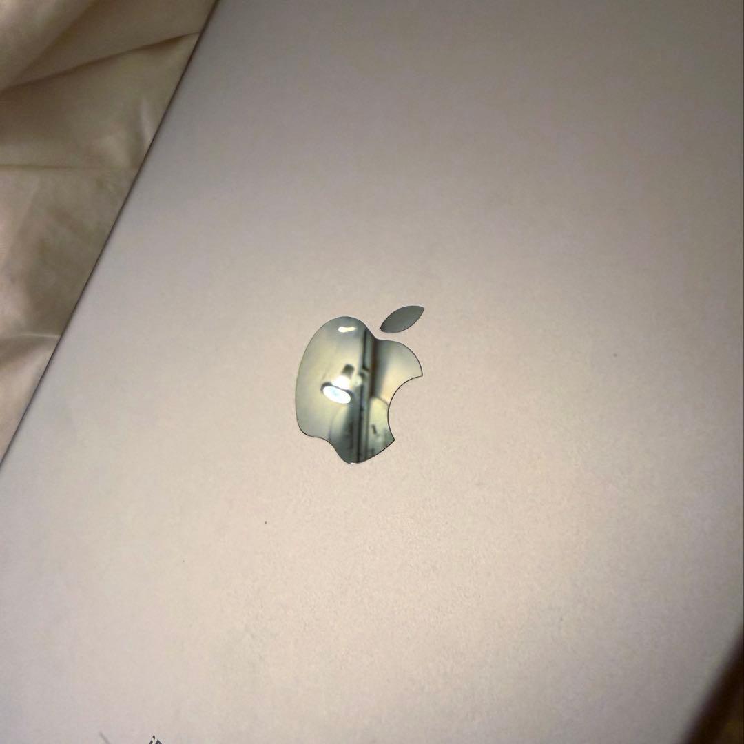 ☆*様 iPad Pro 10.5インチ 256GB A1701 Wi-Fiモデ