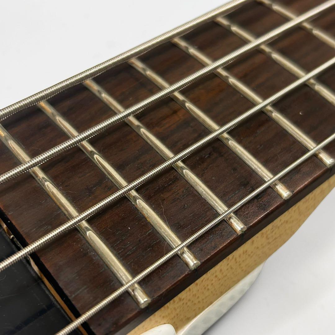【美品】 Epiphone Toby by Tobias Standard-Ⅳ