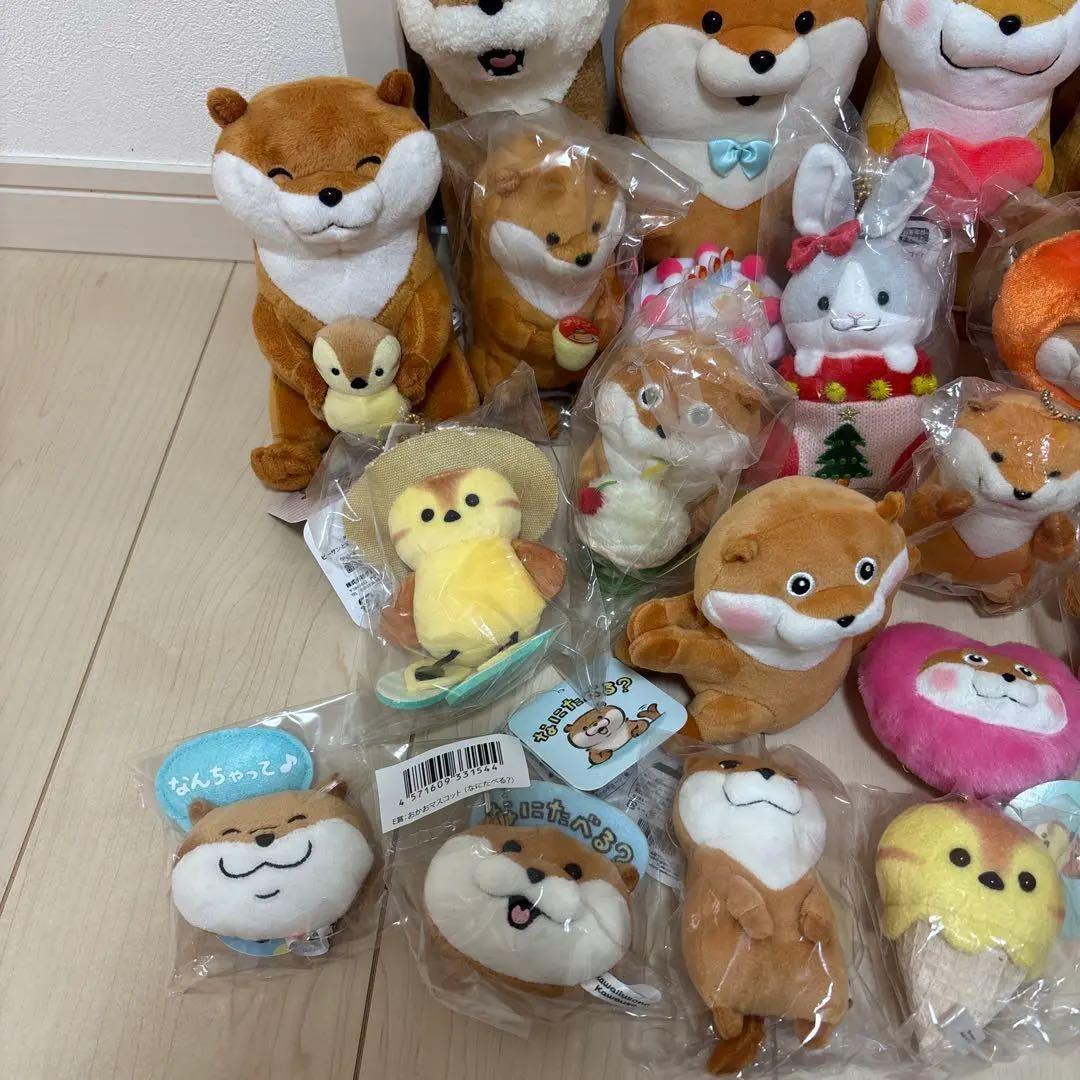 可愛い嘘のカワウソ　ぬんちゃん　ぬいぐるみ　マスコット　レア