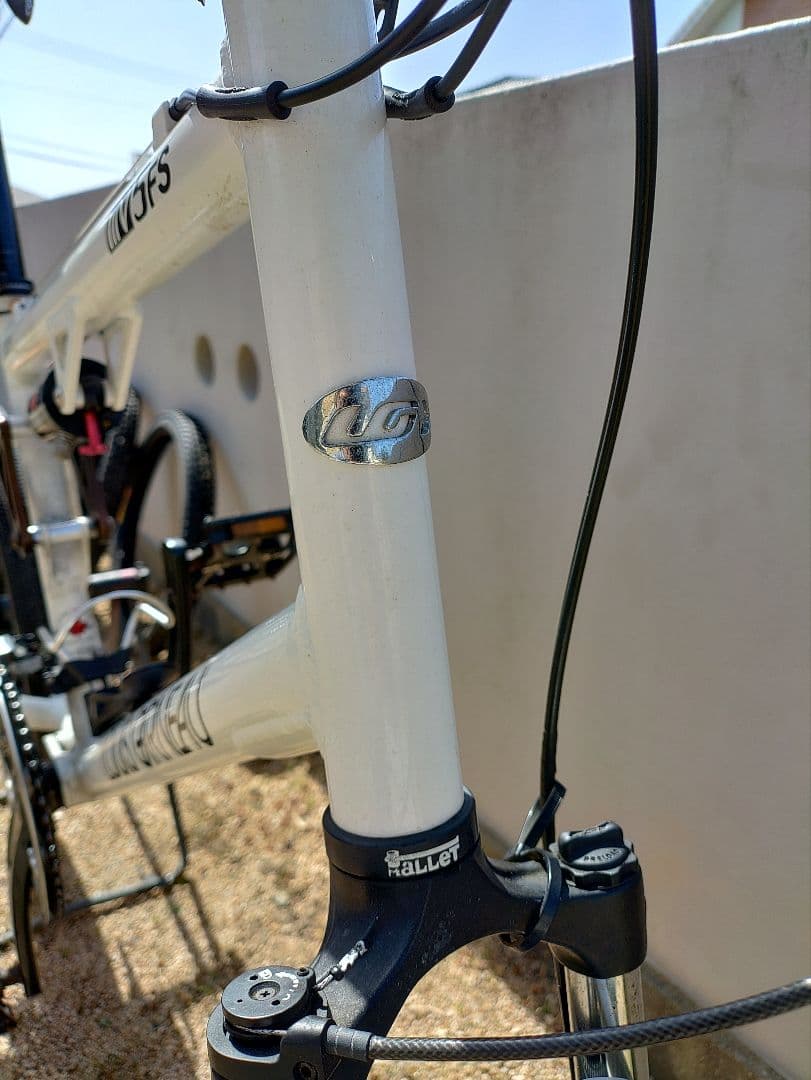 自転車本体 LOUIS GARNEAU MV5FS MTB
