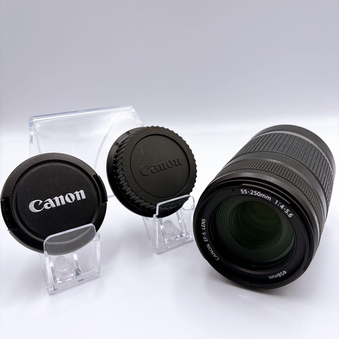 美品【Canon】 EF-S 55-250mm F4-5.6 手ぶれ補正 望遠