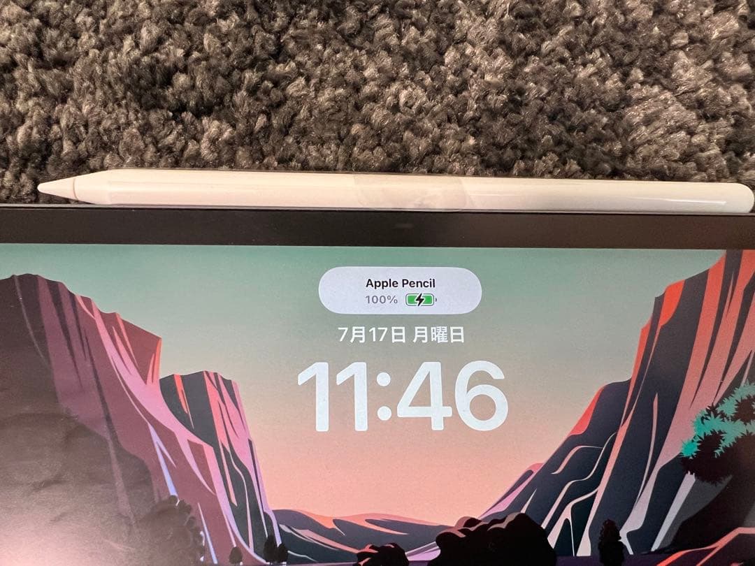 m*w様 アップル Apple Apple Pencil 第2世代 [MU8F2