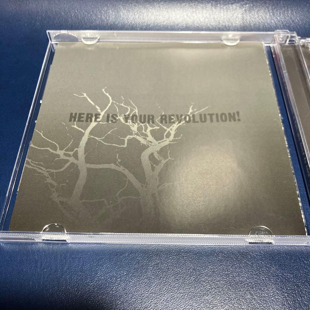 ■[廃盤]SECRET LIVES OF THE FREEMASONS アルバム