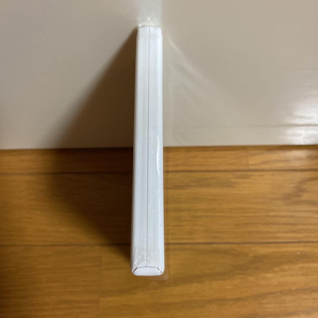 新品未開封　ラビッツ・パーティー タイムトラベル