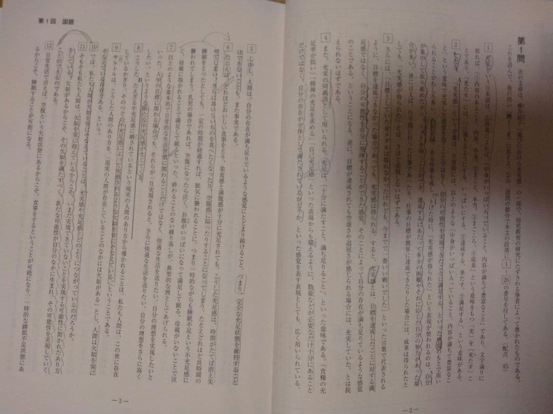 2025または2026 大学入試 共通テスト過去問または予想問題集