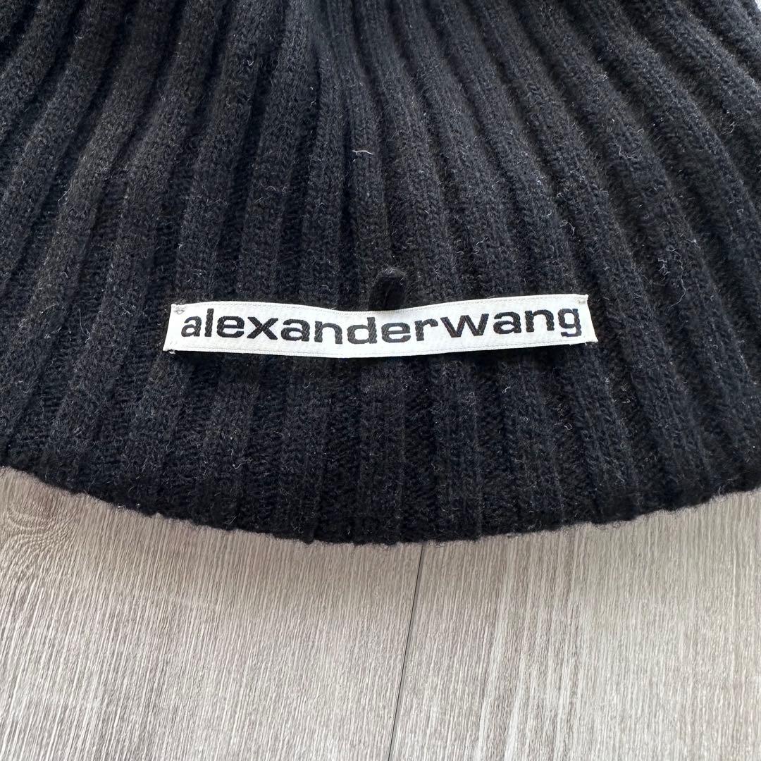 ALEXANDER WANG 登坂広臣着用 ニット帽