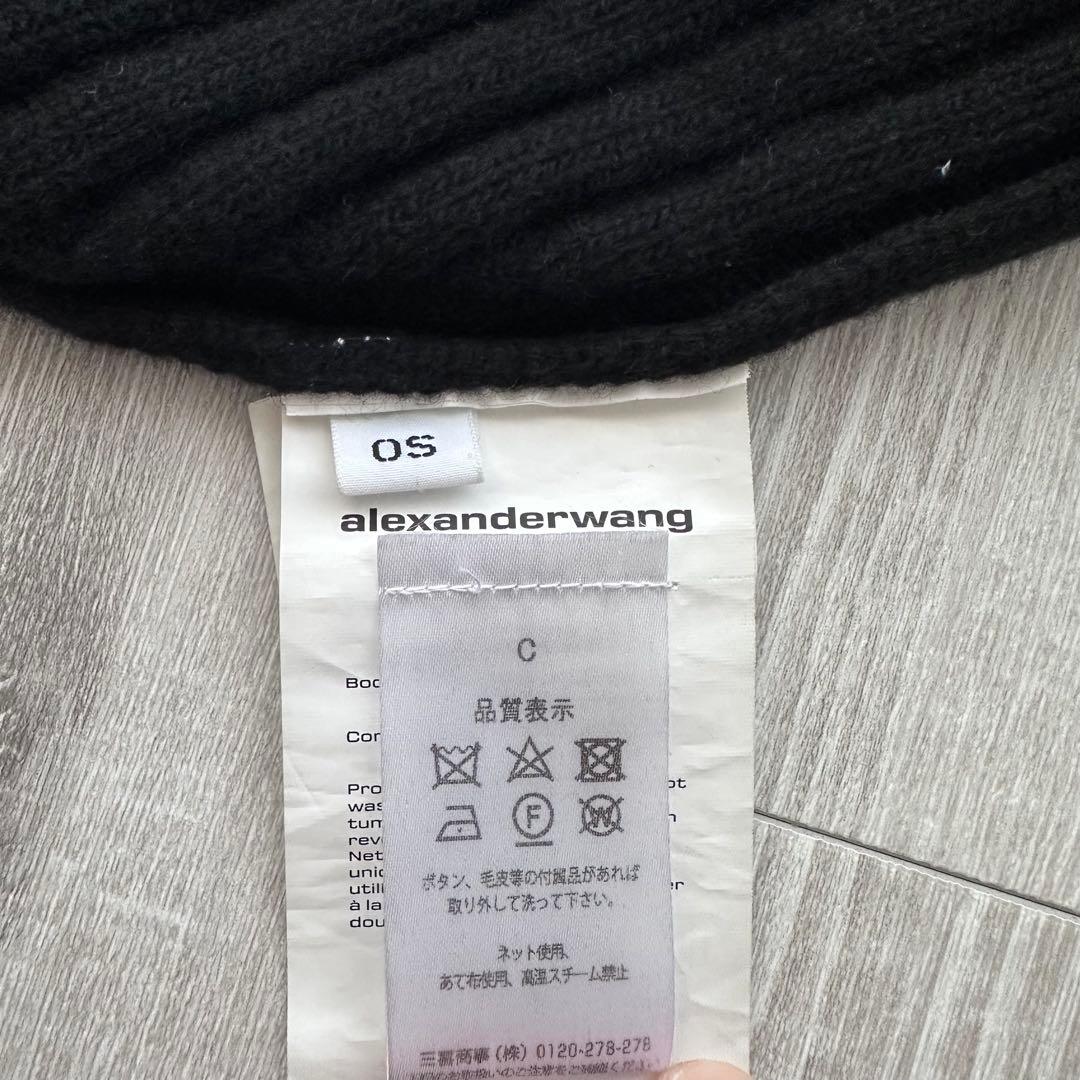 ALEXANDER WANG 登坂広臣着用 ニット帽