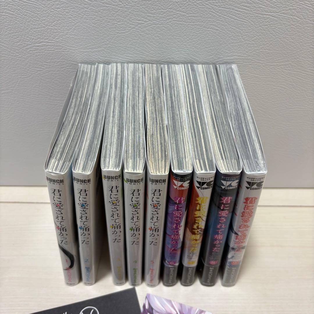 君に愛されて痛かった1〜9巻 (幻の9話あり)