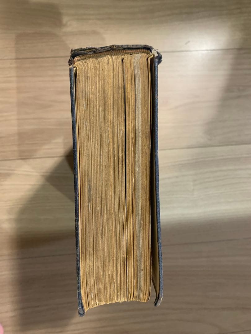 弦楽器製作者の辞書 DICTIONARY OF VIOLIN MAKERS