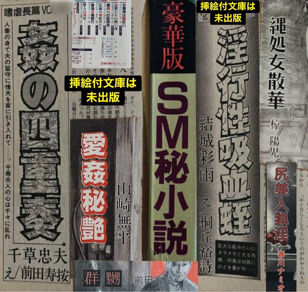 【絶版】秘小説90年6月 千草忠夫 結城彩雨 　　前田寿按 楡畑雄二 椋陽児 他