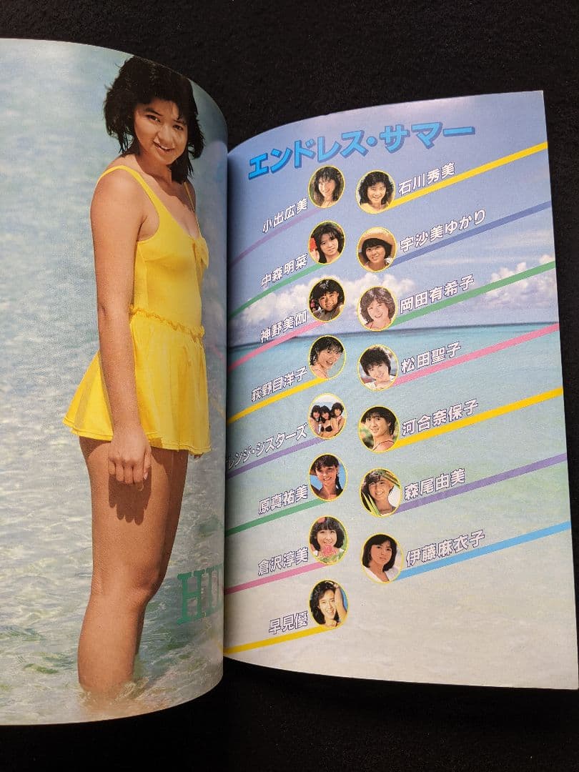 エンドレスサマー　岡田有希子　松田聖子　河合奈保子　中森明菜　荻野目洋子　写真集