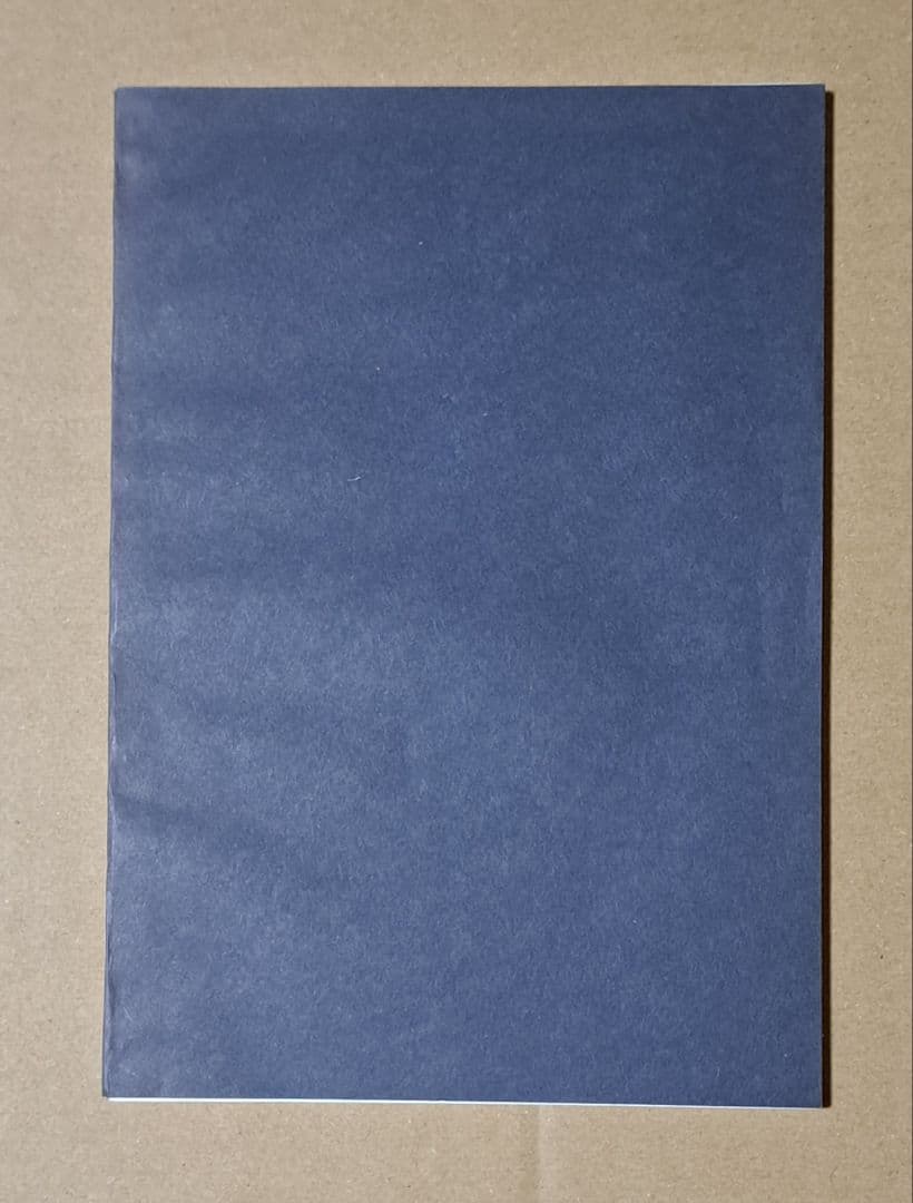 panpanya (1月と7月)【innovation】同人誌 希少品 レア