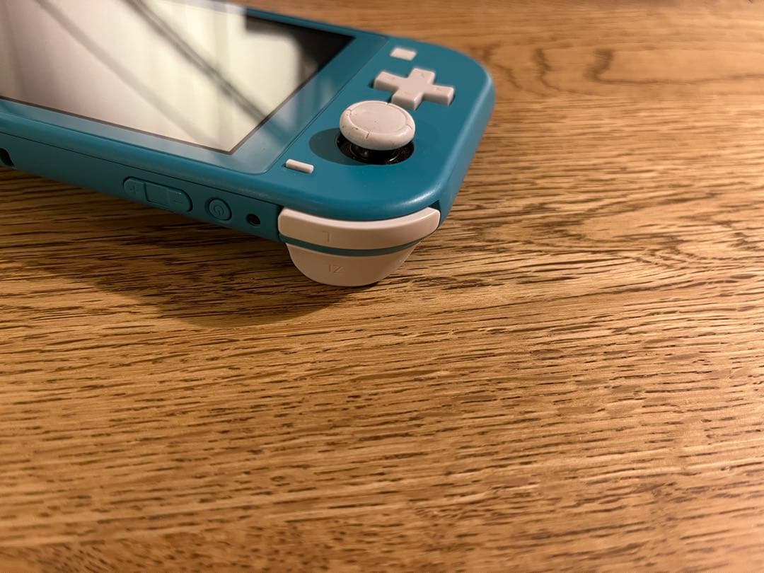 Nintendo Switch Lite 充電ケーブル・ケース付き