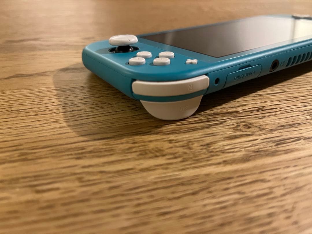 Nintendo Switch Lite 充電ケーブル・ケース付き