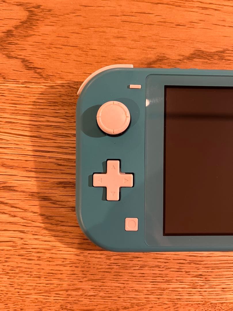 Nintendo Switch Lite 充電ケーブル・ケース付き
