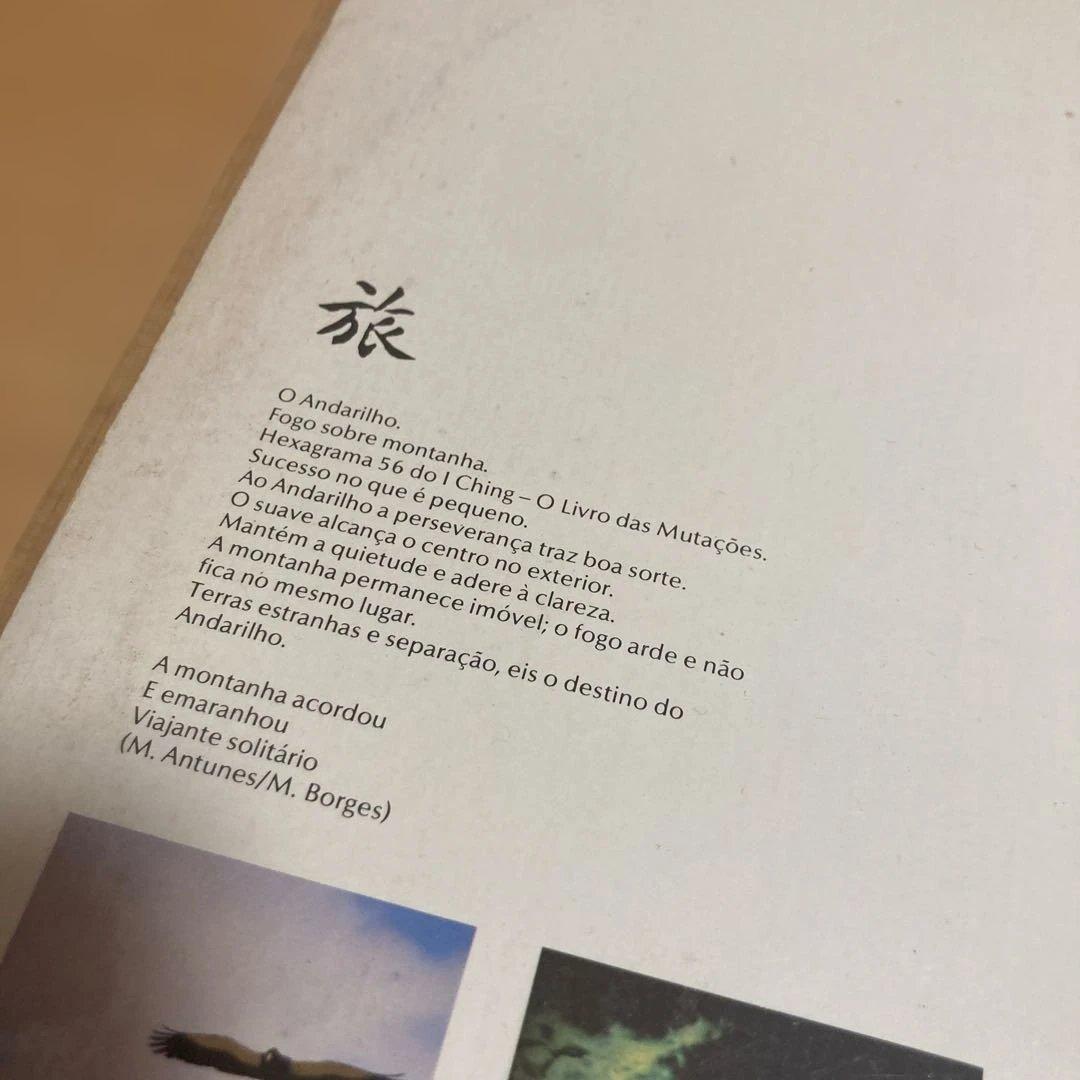 洋楽 Flavio Venturini /O Andrinho