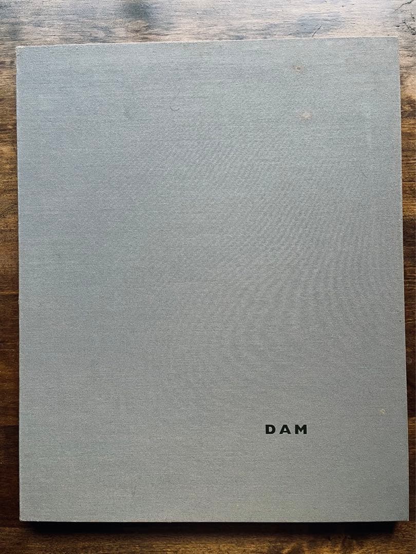 柴田敏雄　DAM