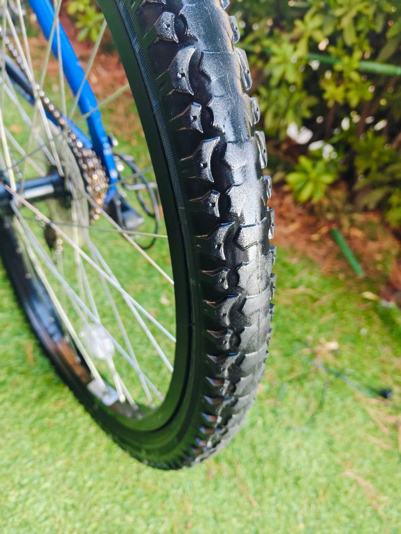 セ*ラ様 GIOS Genova 24 size ジュニア自転車 青