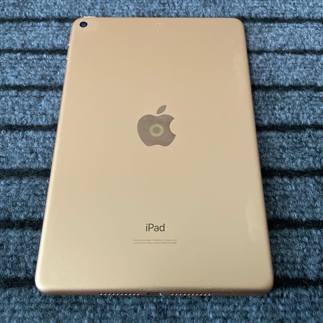 193 iPad mini5 5世代 64GB Wi-Fi ゴールド
