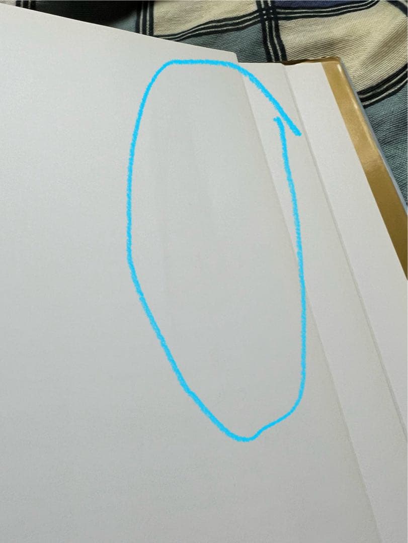 ジェフ・クーンズ:ベルサイユ⭐︎現代アート⭐︎大型本