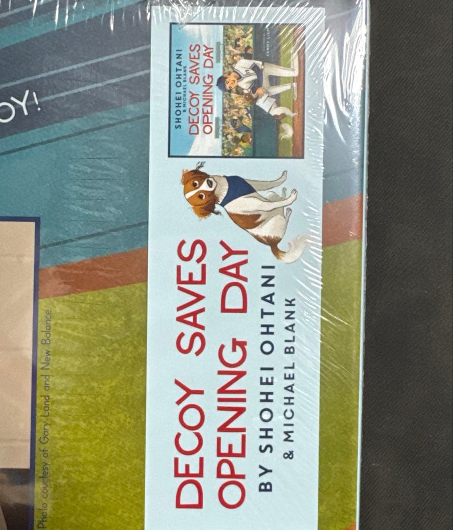 洋書DECOY SAVES OPENING DAY デコピンのとくべつないちにち
