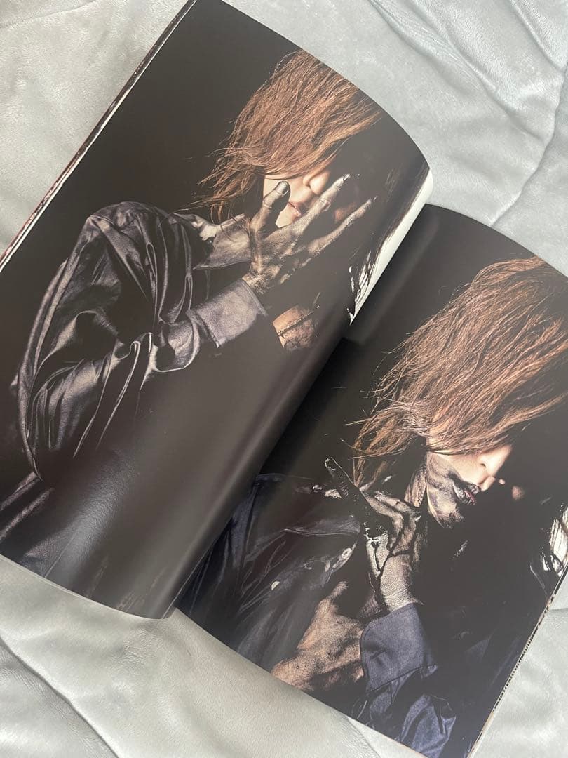 the GazettE PAMPHLET MELT ガゼット パンフレット