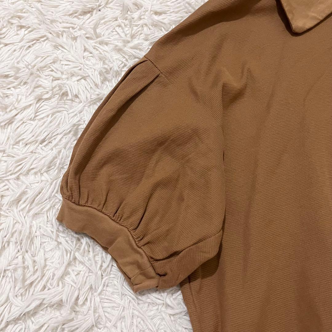 ✨美品✨ネストローブ　コットンサーフニットポロ　カットソー　ブラウン　洗える