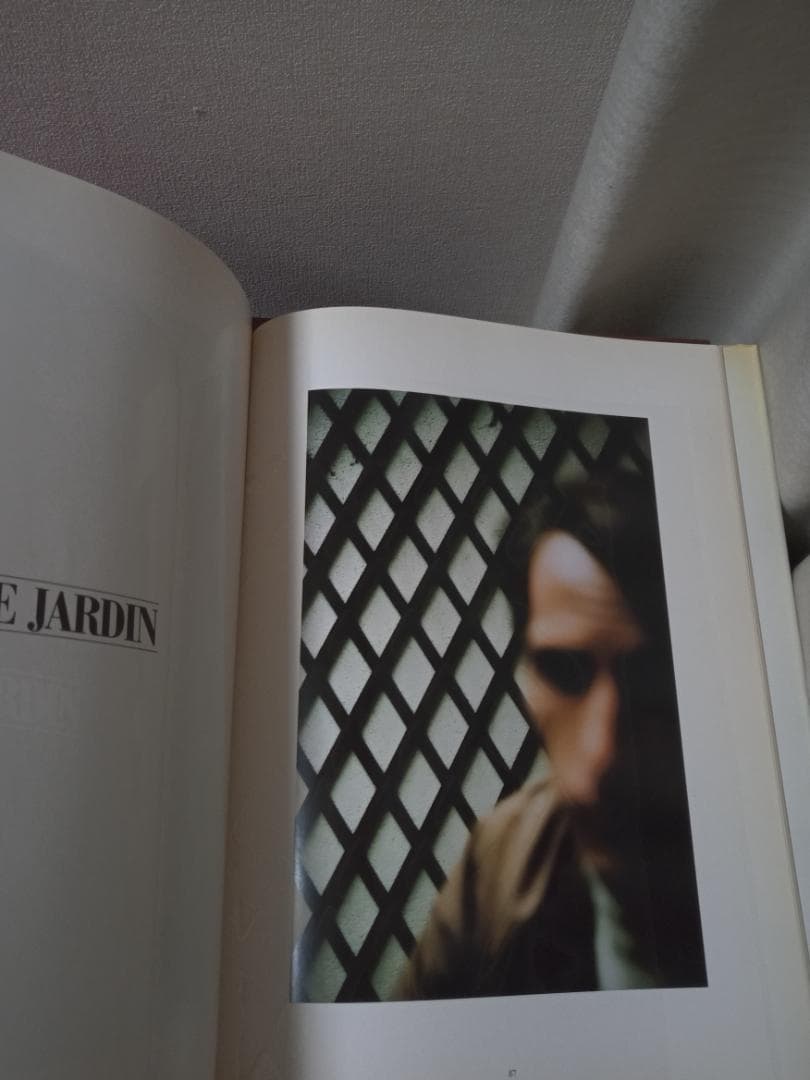 Ralph GibsonL'Histoire De France 写真集