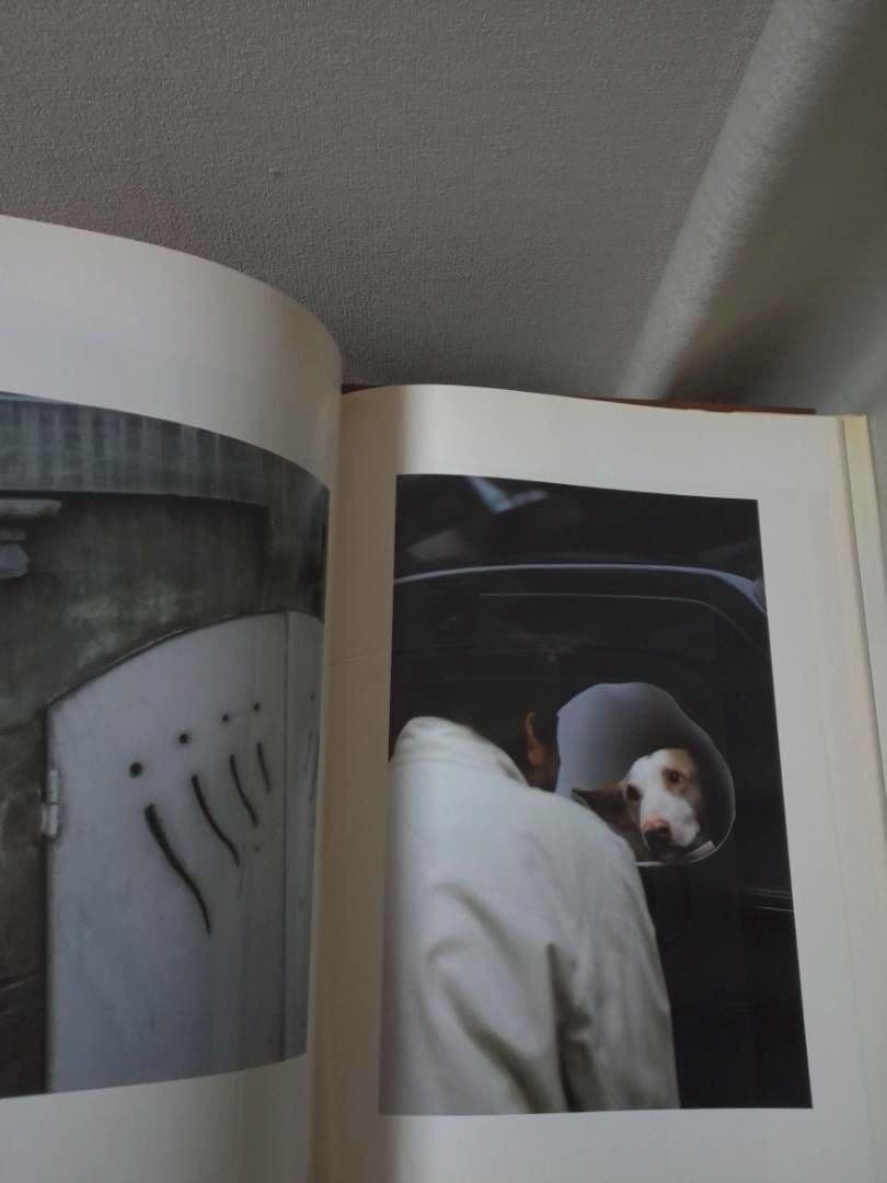 Ralph GibsonL'Histoire De France 写真集